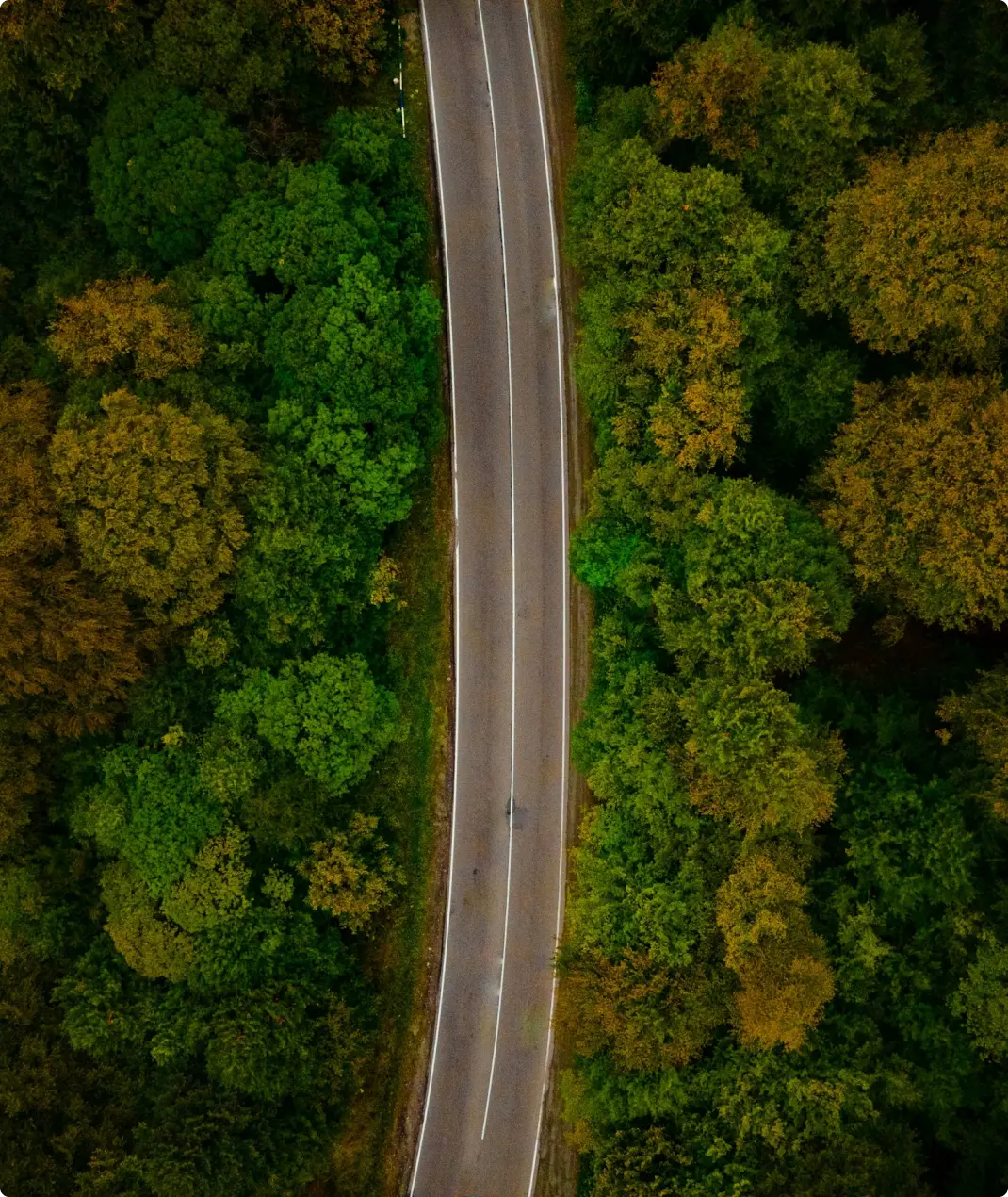 Birds view of road