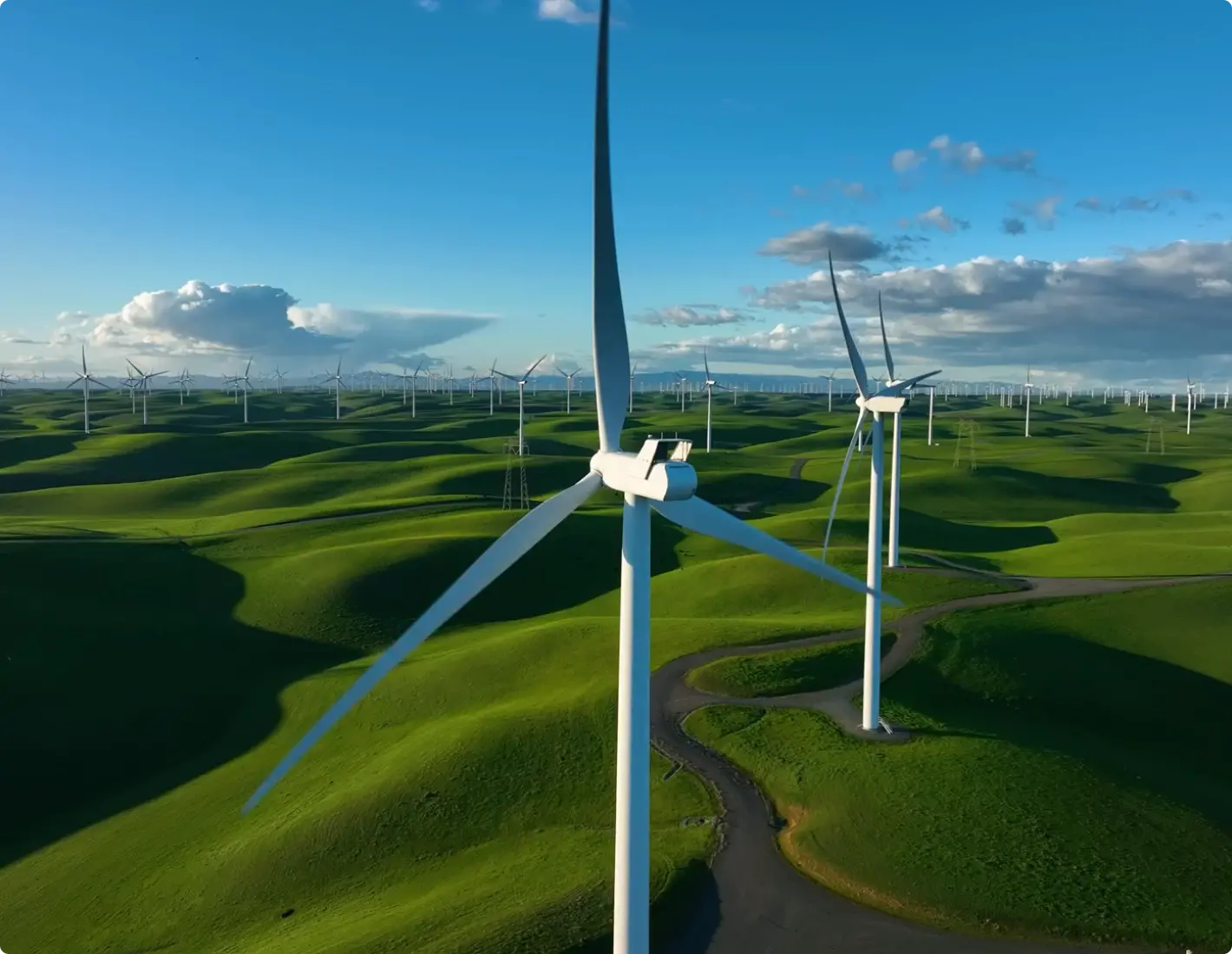 Wide shot of wind turbines surrounded by greenery